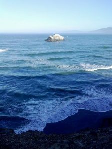 11156274_818795494835600_430928514188904170_n