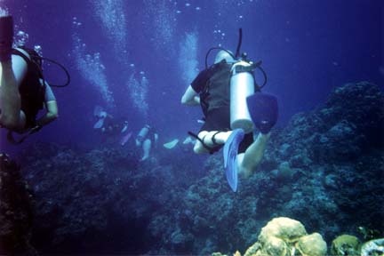 Scuba diving