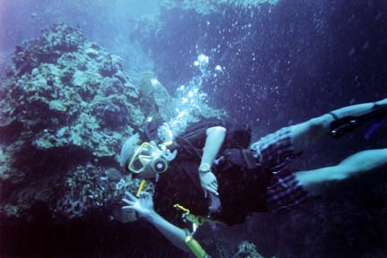 Scuba diving